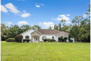 17459 Nw 175th Ave, ALACHUA