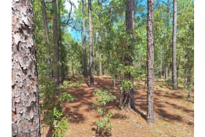 Lot 3 73RD STREET, OCALA, FL 34481 - MLS#MFRGC534758