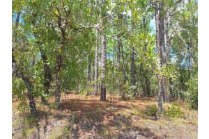 Lot 3 73RD STREET, OCALA, FL 34481 - MLS#MFRGC534758