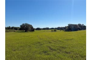 960 BETHLEHEM AVENUE, FORT WHITE, FL 32038 - MLS#MFRGC534760