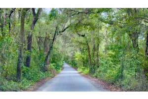 20815 62ND AVENUE, NEWBERRY, FL 32669 - MLS#MFRGC534820