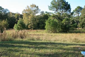 1228 SE US HIGHWAY 301, HAWTHORNE, FL 32640 - MLS#MFRGC534834