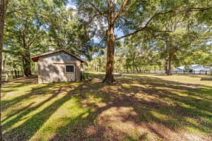 SW 159TH CT, OCALA, FL 34481 - MLS#MFRGC534908