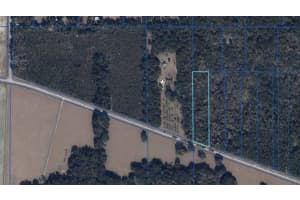 8146 SW COUNTY ROAD 346, ARCHER, FL 32618 - MLS#MFRGC535074