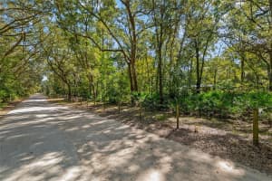 16513 67TH PLACE, ARCHER, FL 32618 - MLS#MFRGC535220