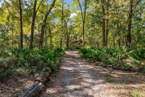 16513 67TH PLACE, ARCHER, FL 32618 - MLS#MFRGC535220