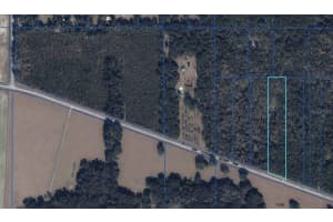 7922 SW COUNTY ROAD 346, ARCHER, FL 32618 - MLS#MFRGC535247
