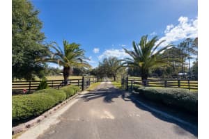 12119 122ND TERRACE, ALACHUA, FL 32615 - MLS#MFRGC535265