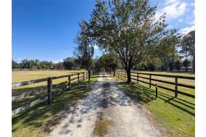 12119 122ND TERRACE, ALACHUA, FL 32615 - MLS#MFRGC535265