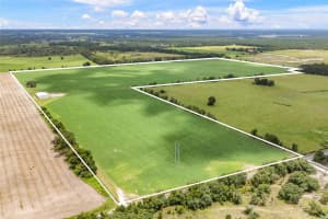 7213 298TH STREET, NEWBERRY, FL 32669 - MLS#MFRGC535299