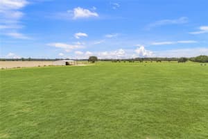 7213 298TH STREET, NEWBERRY, FL 32669 - MLS#MFRGC535299