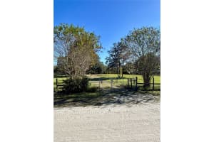 372 SW HAWK LN, FORT WHITE, FL 32038 - MLS#MFRGC535358