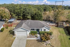 977 229TH DRIVE, NEWBERRY, FL 32669 - MLS#MFRGC535478