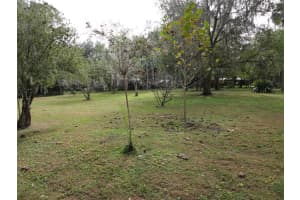 101 3RD AVENUE, MICANOPY, FL 32667 - MLS#MFRGC535520