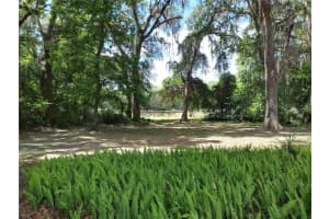 1602 WILLISTON ROAD, GAINESVILLE, FL 32608 - MLS#MFRGC535522