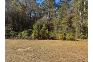 2199 TOM CRAWFORD ROAD, HILLIARD, FL 32046 - MLS#MFRGC535599