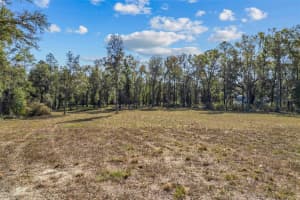 4120 192ND DRIVE, NEWBERRY, FL 32669 - MLS#MFRGC535652