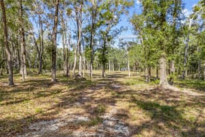 4120 192ND DRIVE, NEWBERRY, FL 32669 - MLS#MFRGC535652