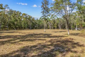 4120 192ND DRIVE, NEWBERRY, FL 32669 - MLS#MFRGC535652