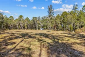 4120 192ND DRIVE, NEWBERRY, FL 32669 - MLS#MFRGC535652