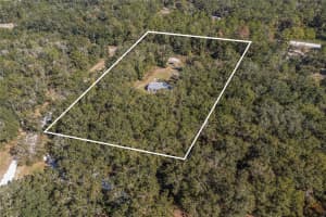 272 OLD NIBLACK AVENUE, FORT WHITE, FL 32038 - MLS#MFRGC535881