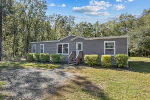272 OLD NIBLACK AVENUE, FORT WHITE, FL 32038 - MLS#MFRGC535881