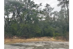 SW 35 TER, OCALA, FL 34473 - MLS#MFRGC535914