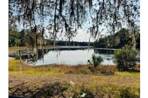 313 WHITE SANDS BEACHES DRIVE, HAWTHORNE, FL 32640 - MLS#MFRGC535917