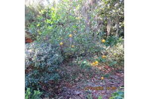 3840 NW 35TH PLACE, GAINESVILLE, FL 32606 - MLS#MFRGC536009