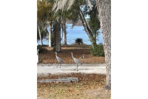 111 LITTLE ORANGE LAKE DRIVE, HAWTHORNE, FL 32640 - MLS#MFRGC536043