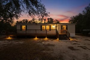 12170 Ne 90th St, BRONSON