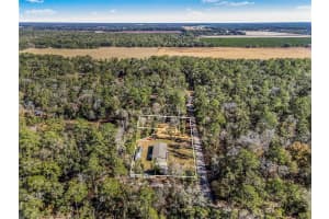 7970 14TH PLACE, BELL, FL 32619 - MLS#MFRGC536082