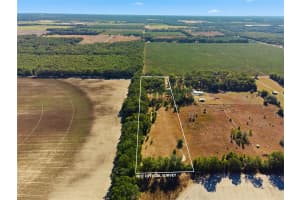 4506 10TH STREET, BELL, FL 32619 - MLS#MFRGC536112