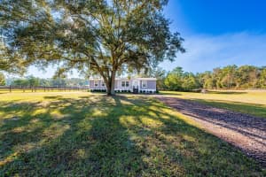 19750 30TH STREET, MORRISTON, FL 32668 - MLS#MFRGC536113