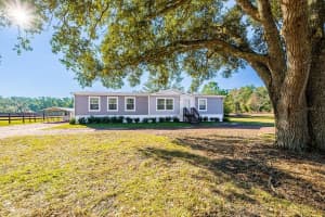 19750 30TH STREET, MORRISTON, FL 32668 - MLS#MFRGC536113