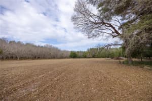 20710 NW COUNTY ROAD 2054, ALACHUA, FL 32615 - MLS#MFRGC536115