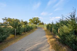 23016 102ND AVENUE, ALACHUA, FL 32615 - MLS#MFRGC536139