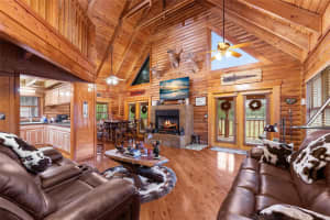 306 CASTAGNA LANE, MAYO, FL 32066 - MLS#MFRGC536175