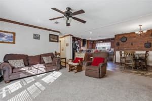 317 CUMBERLAND STREET, FORT WHITE, FL 32038 - MLS#MFRGC536254