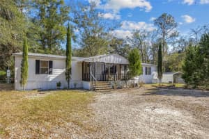 293 DAN COURT, LAKE CITY, FL 32025 - MLS#MFRGC536282
