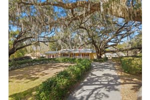 19651 50TH STREET, WILLISTON, FL 32696 - MLS#MFRGC536351