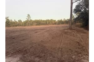 7251 105TH AVENUE, BRONSON, FL 32621 - MLS#MFRGC536367