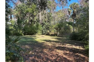 6116 TROUT STREET, MELROSE, FL 32666 - MLS#MFRGC536430