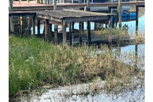 6116 TROUT STREET, MELROSE, FL 32666 - MLS#MFRGC536430