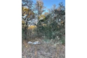 TBD SW WILLOW RD, DUNNELLON, FL 34431 Sold 02/18/26