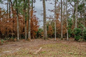 448 CENTRAL TERRACE, FORT WHITE, FL 32038 - MLS#MFRGC536544