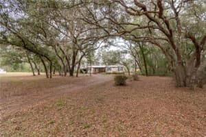 112 MAGNOLIA STREET, HAWTHORNE, FL 32640 - MLS#MFRGC536633