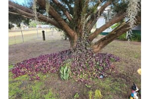 240 KITTY AVENUE, INTERLACHEN, FL 32148 - MLS#MFRGC536666