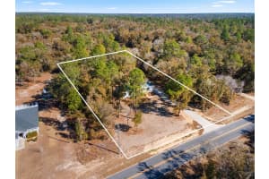 10071 80TH STREET, BRONSON, FL 32621 - MLS#MFRGC536680