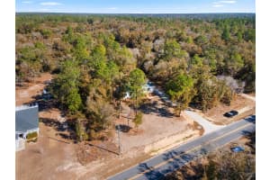 10071 80TH STREET, BRONSON, FL 32621 - MLS#MFRGC536680